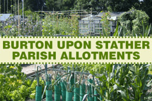 Burton upon Stather Allotments
